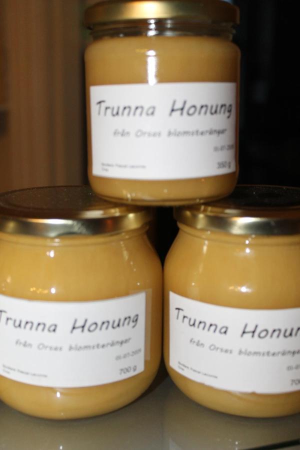 Trunna & Konferens Vandrerhjem *