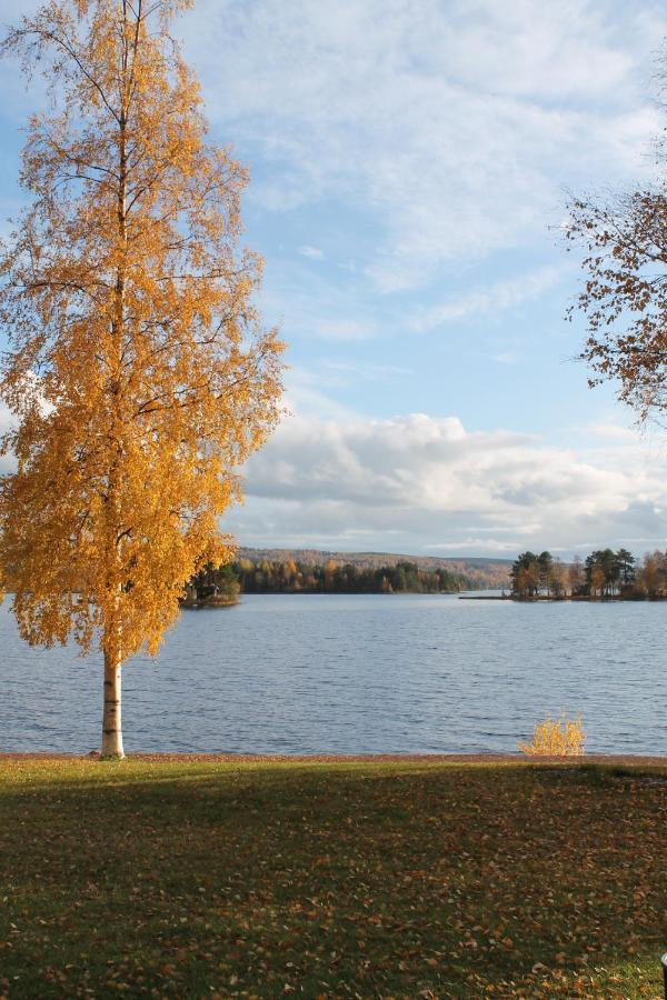 Trunna & Konferens Vandrerhjem Orsa